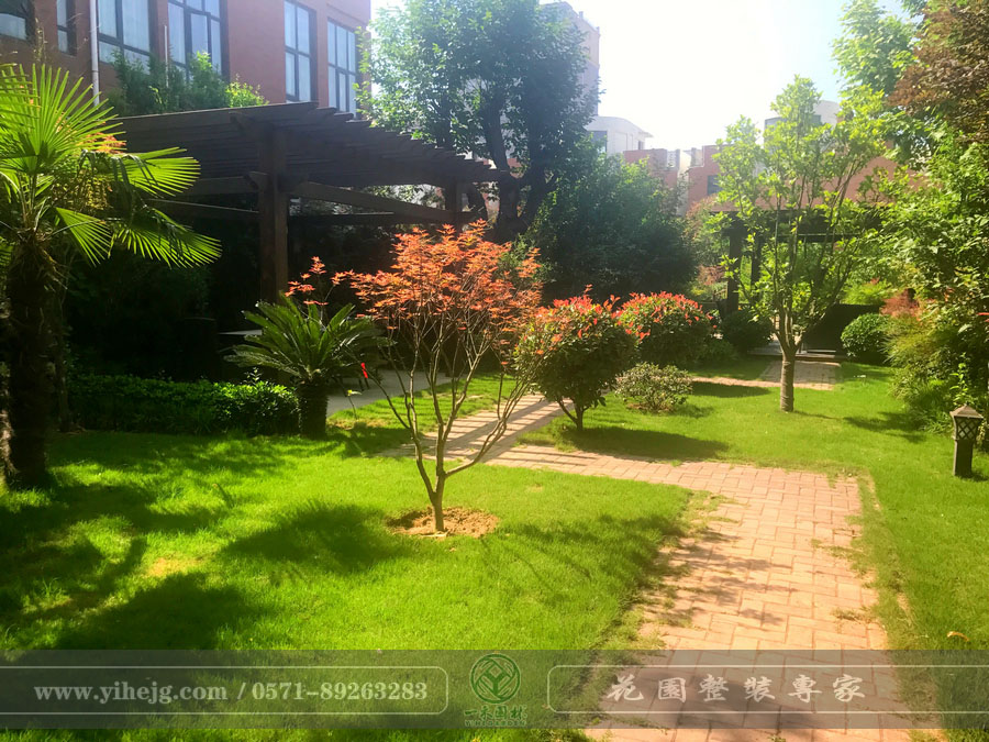 平頂山某鄉(xiāng)村庭院景觀(guān)綠化設(shè)計(jì)｜別墅花園景觀(guān)設(shè)計(jì)｜庭院假山錦鯉池過(guò)濾改造系統(tǒng)